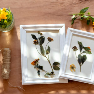 Handcrafted Pressed Flower Frame Art – Natural Botanical Wall Décor (Set of 2)