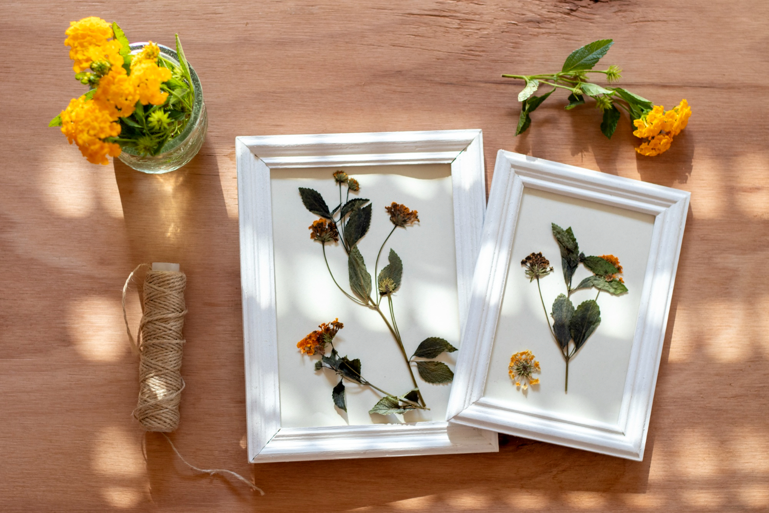 Handcrafted Pressed Flower Frame Art – Natural Botanical Wall Décor (Set of 2)