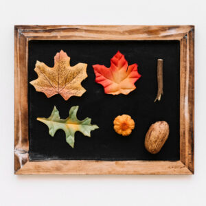 Handcrafted Pressed Leaf & Botanical Frame Art – Natural Autumn Wall Décor